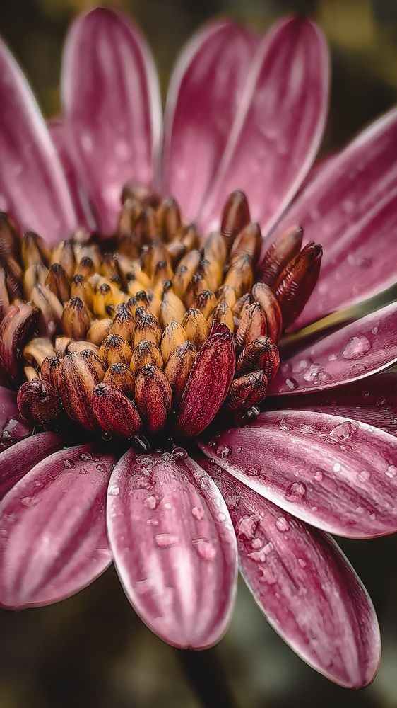 Photograph by Татьяна Котова