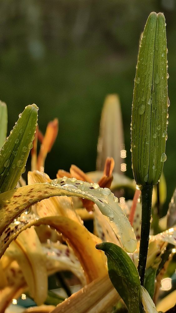 Photograph by Татьяна Котова