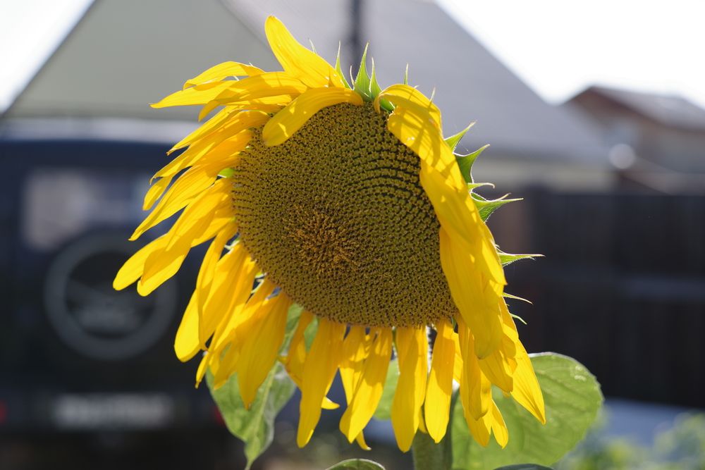 Photograph by Андрей Корытов