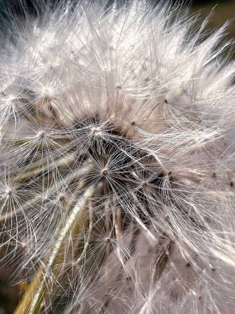 Photograph by Татьяна Волохова