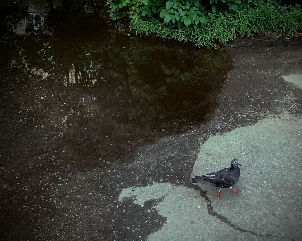 Photograph by Юра Мокрицкий