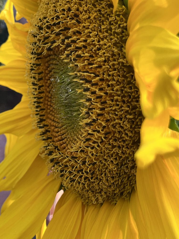 Photograph by Екатерина Букаева