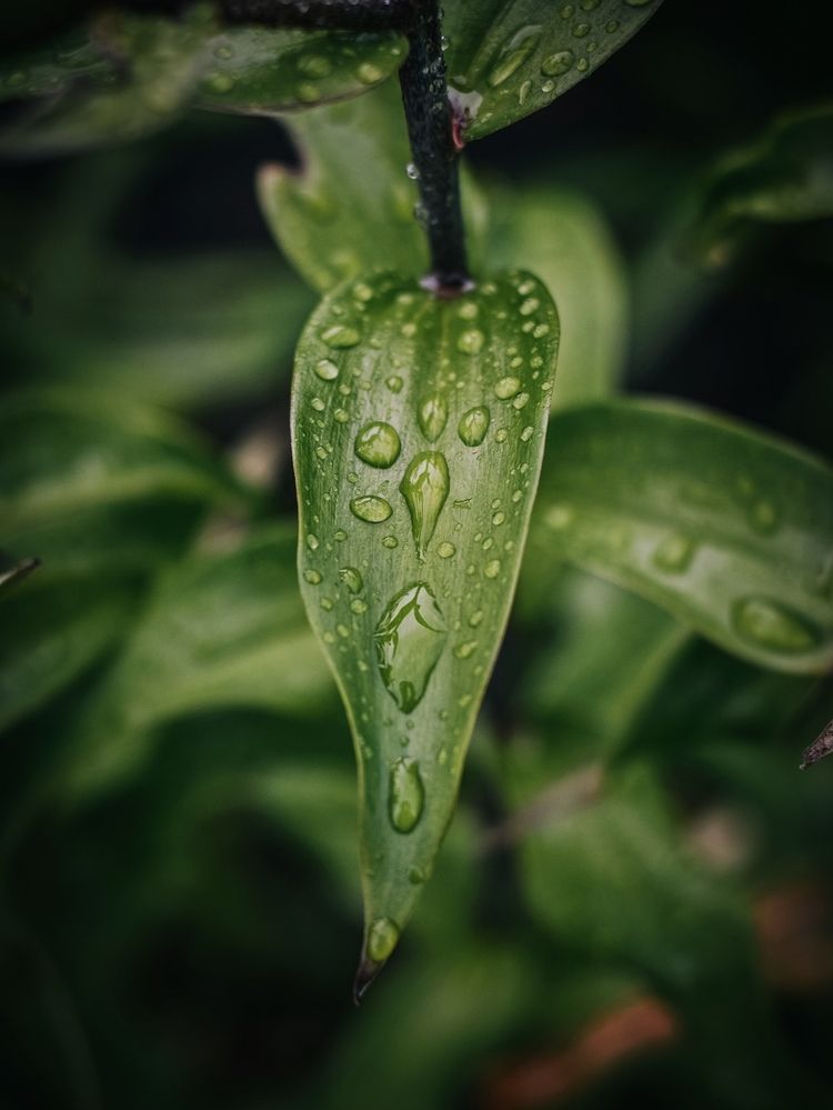 Photograph by Светлана Ковшова