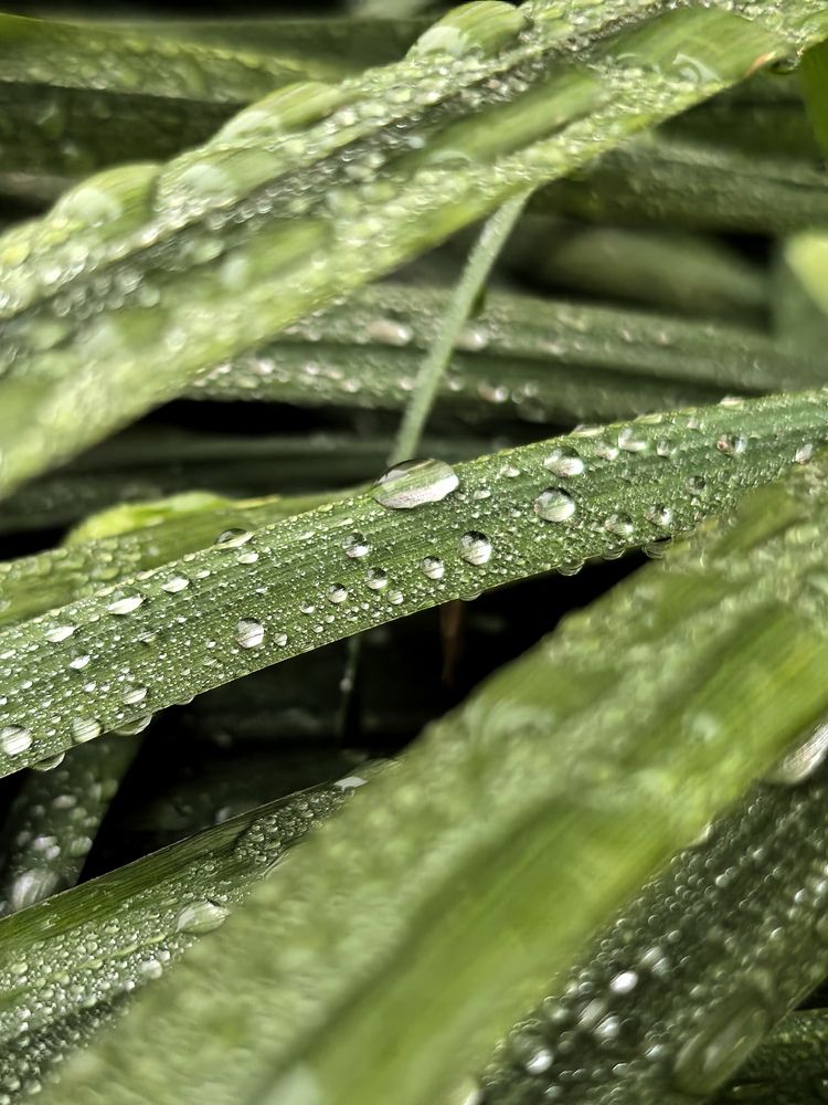 Photograph by Дмитрий Батраков