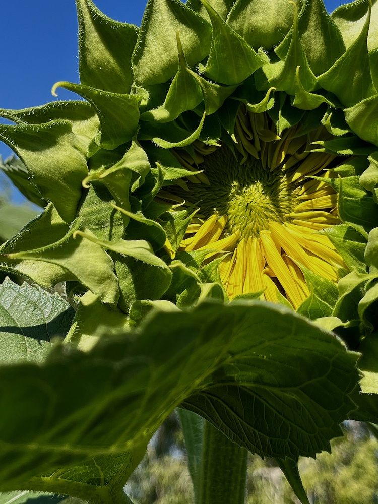 Photograph by Екатерина Букаева