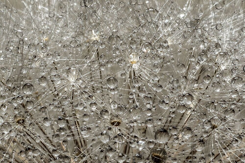 Photograph by Духанин Сергей