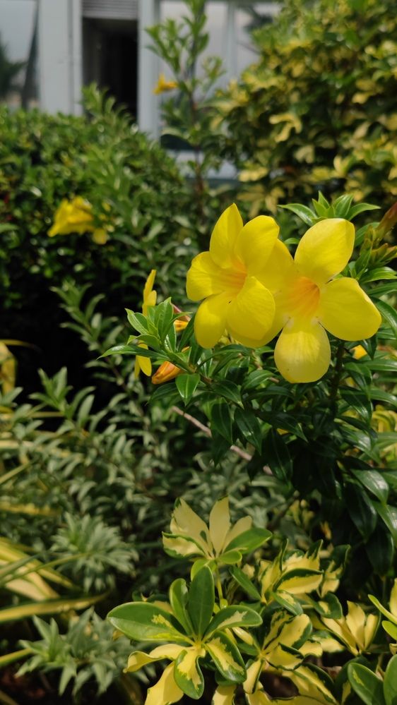 Фотография автора Лариса Катрашенко