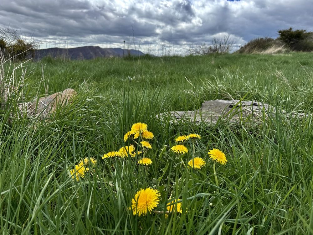 Photograph by Marina Odintsova