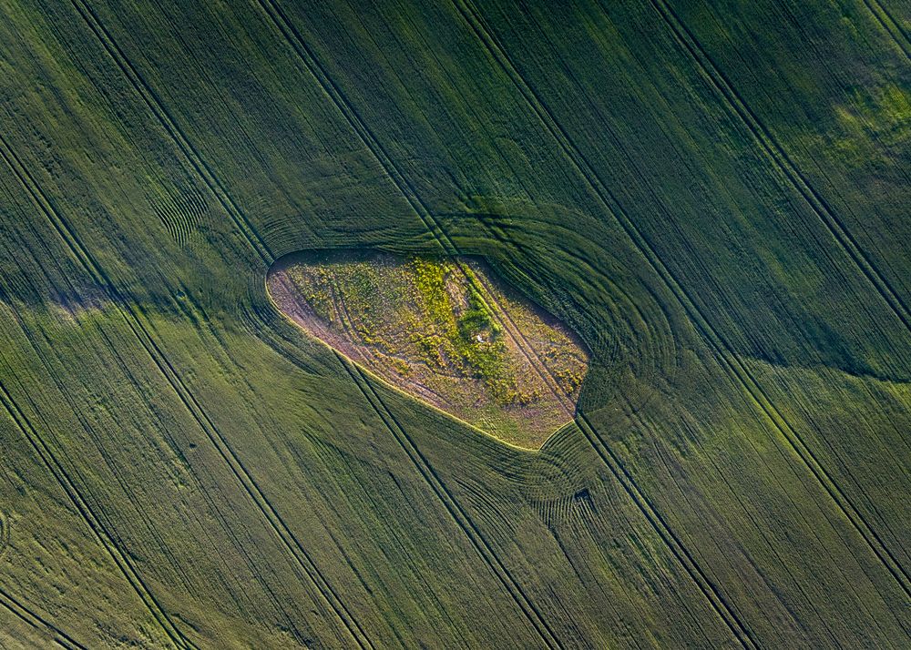 Photograph by Кузнецов Александр