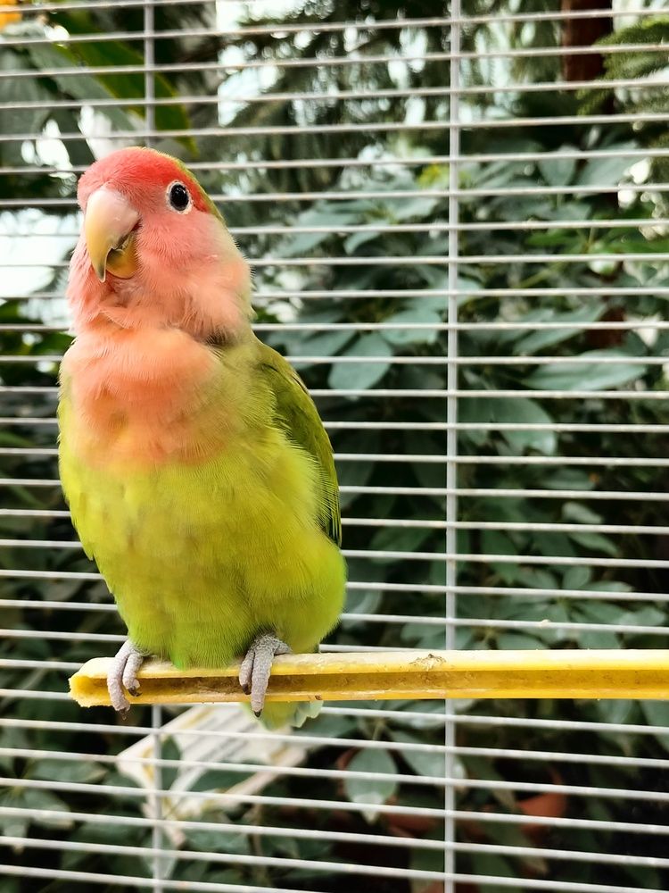 Фотография автора Юлия Денисенко