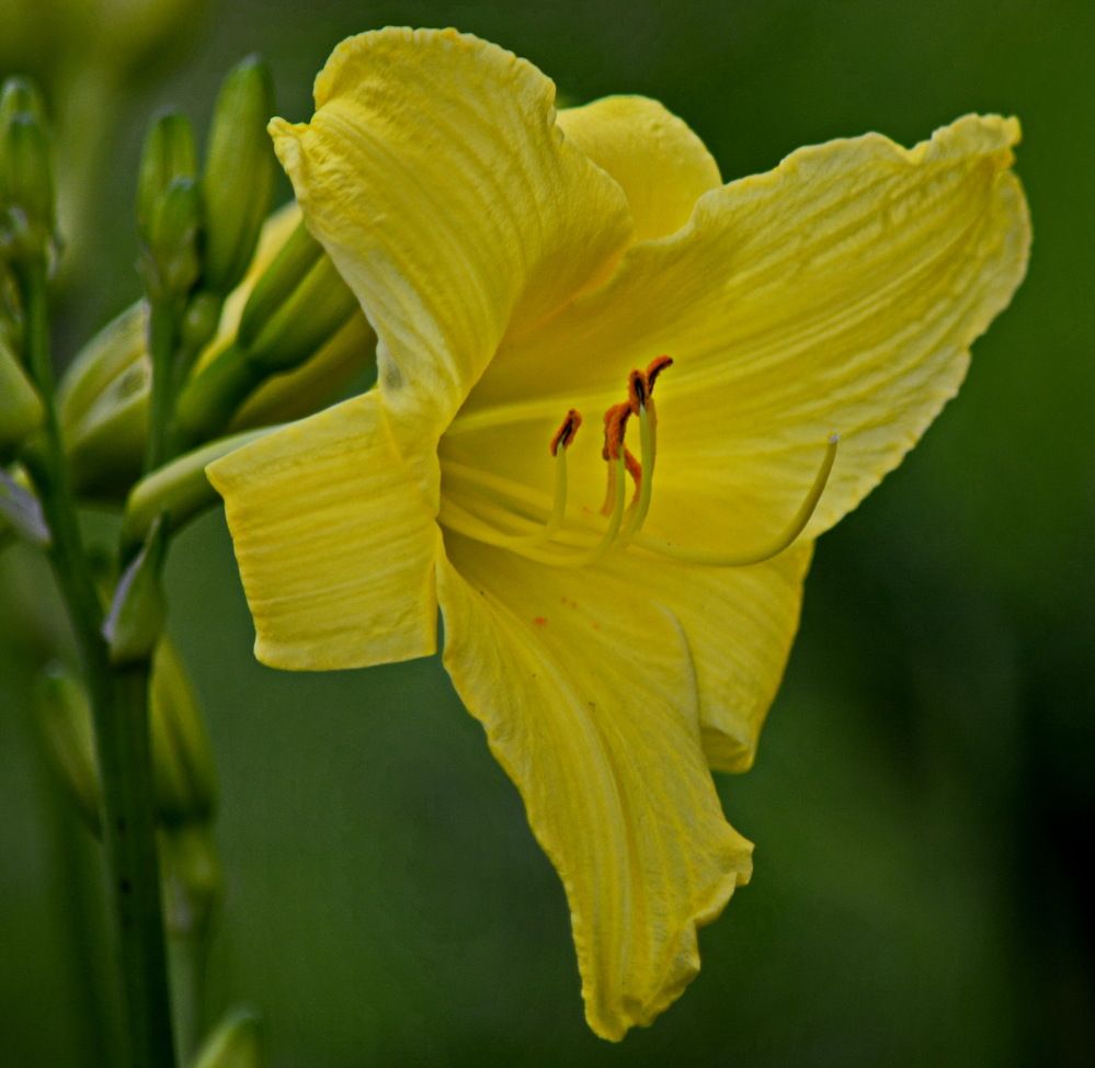 Photograph by Анастасия Смирнова