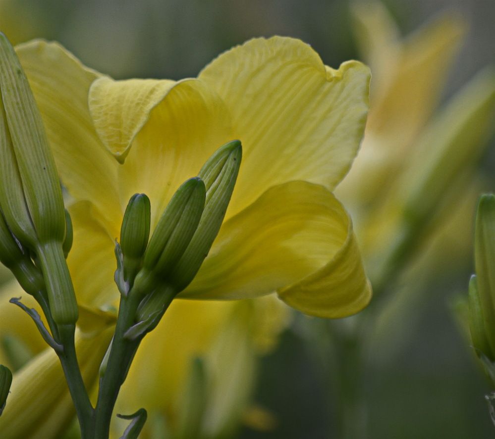 Photograph by Анастасия Смирнова