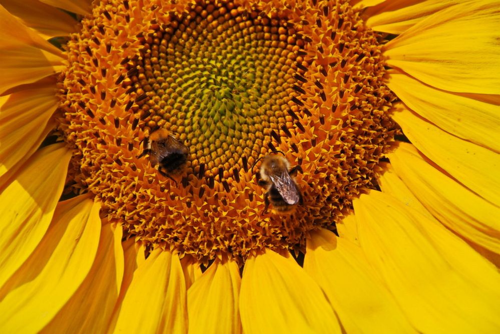 Photograph by Анастасия Смирнова