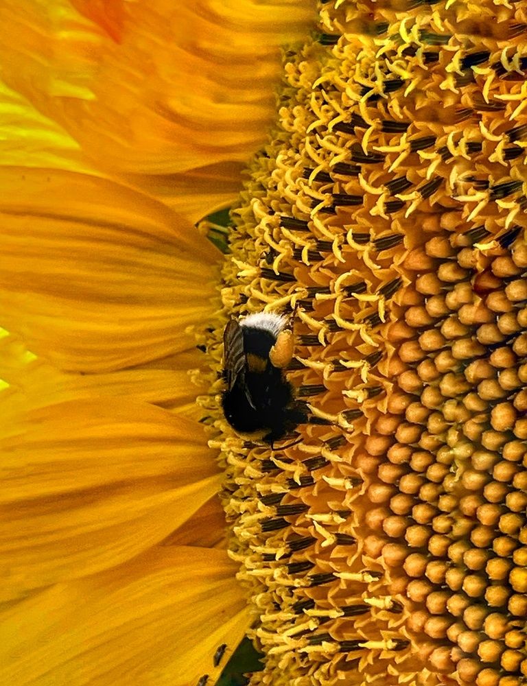 Photograph by Екатерина Букаева