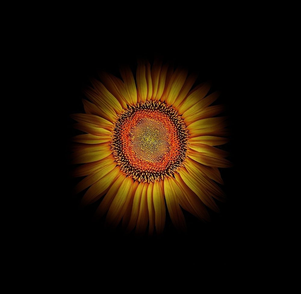 Photograph by Roberto Hagemann