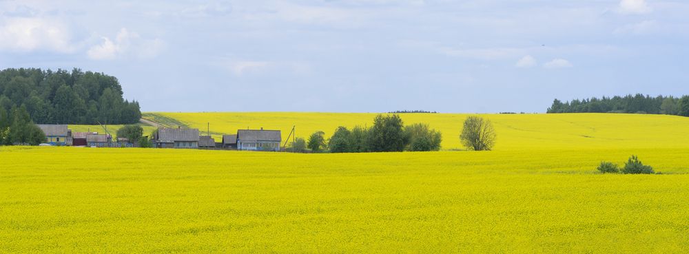 Photograph by Андрей Семенков