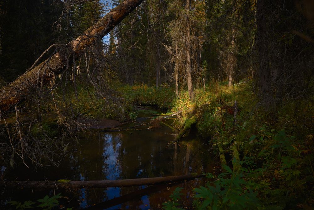 Photograph by Денис Рокин