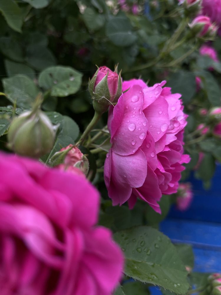 Photograph by Екатерина Букаева