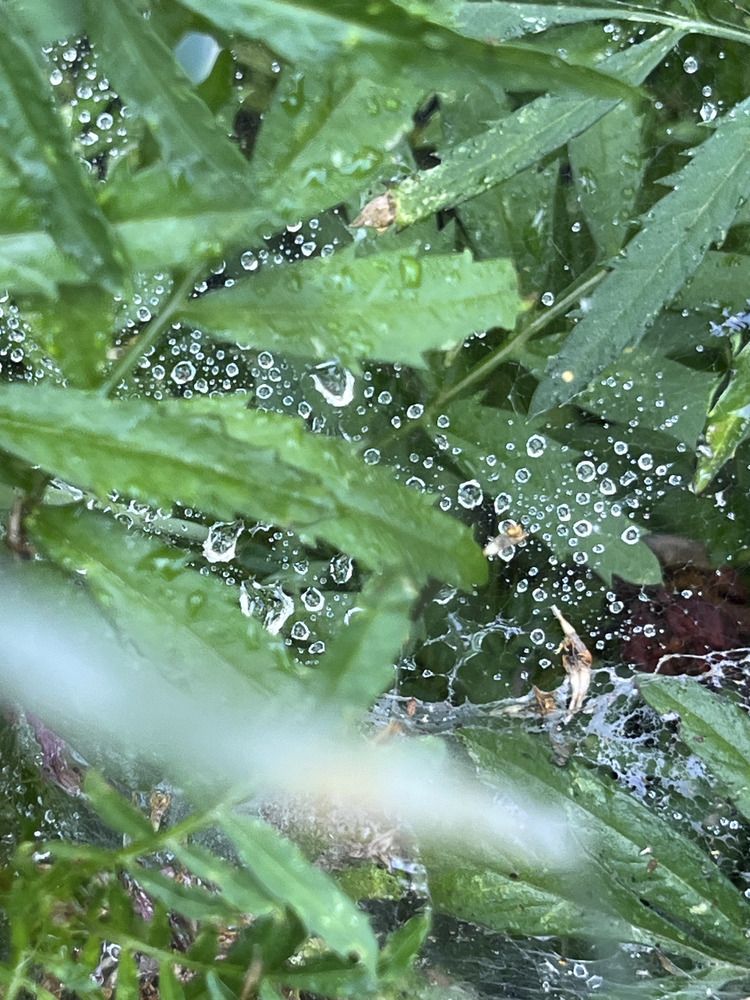 Photograph by Екатерина Букаева