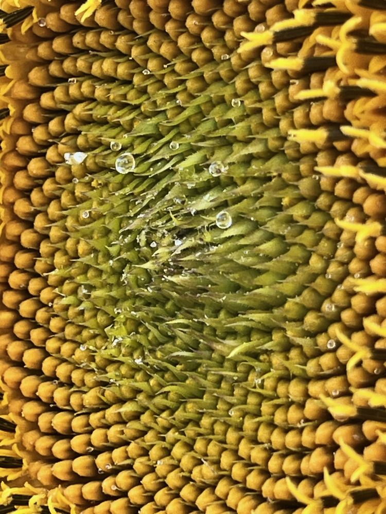 Photograph by Екатерина Букаева