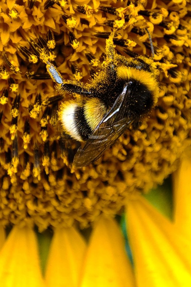 Photograph by Ирина Строкова