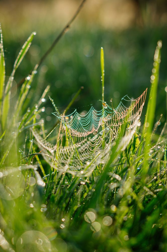 Photograph by Анастасия Зайцева