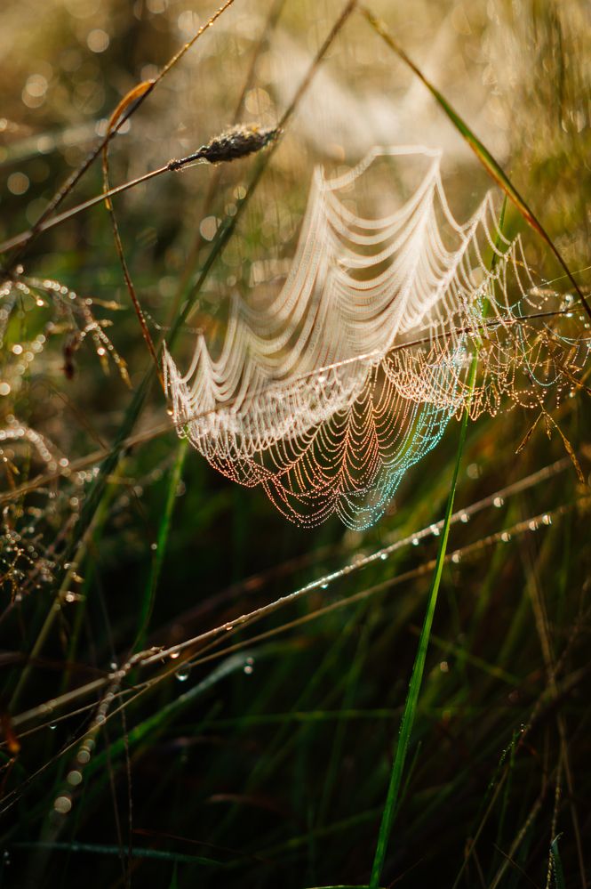 Photograph by Анастасия Зайцева