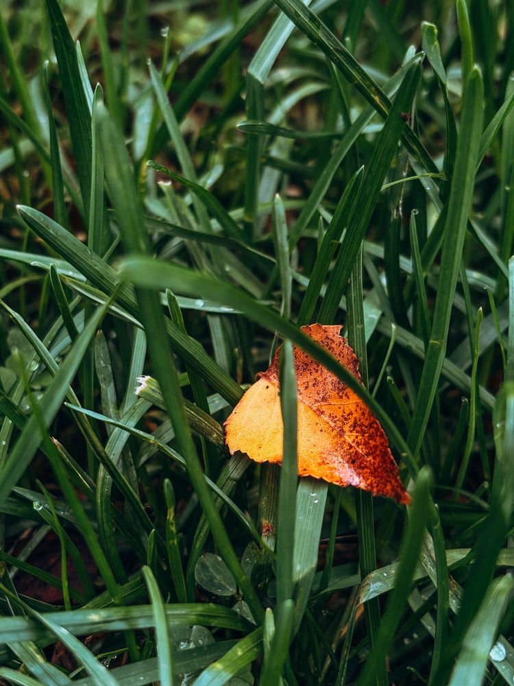 Photograph by Елена Михалева