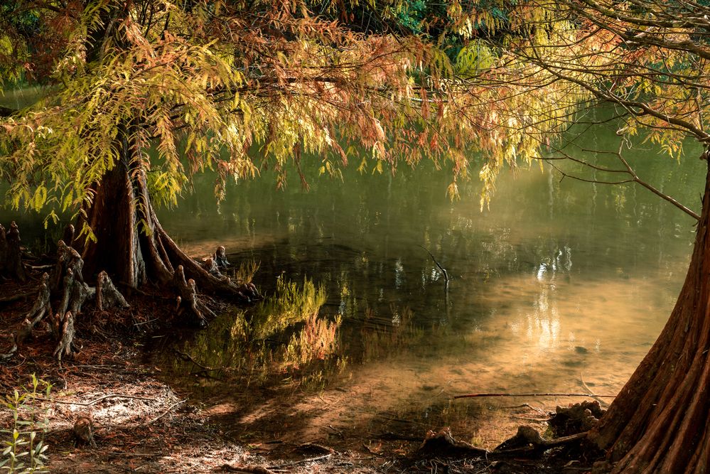 Photograph by Mateus Campos Felipe