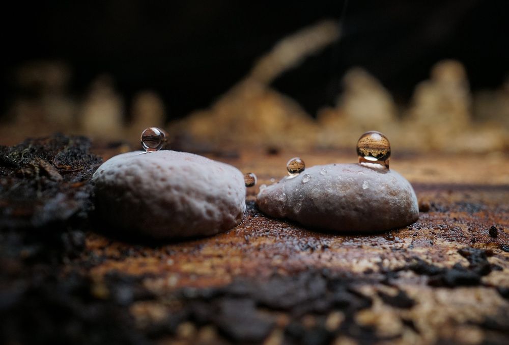 Photograph by Лена Максимкина