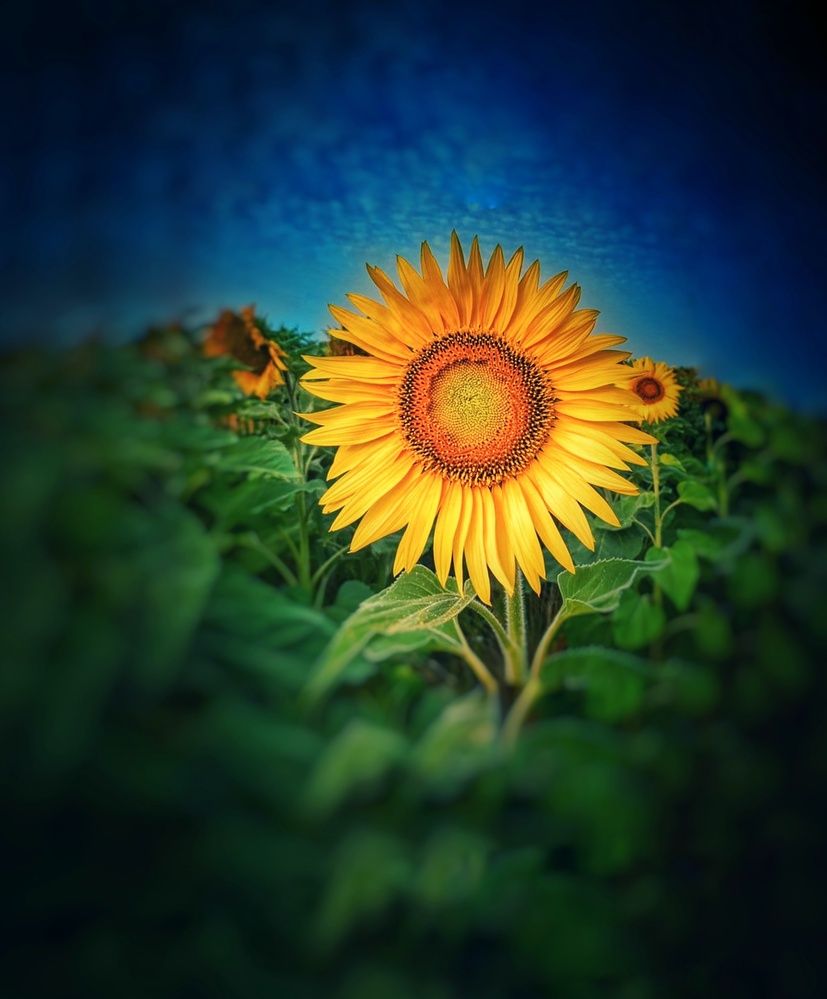 Photograph by Roberto Hagemann