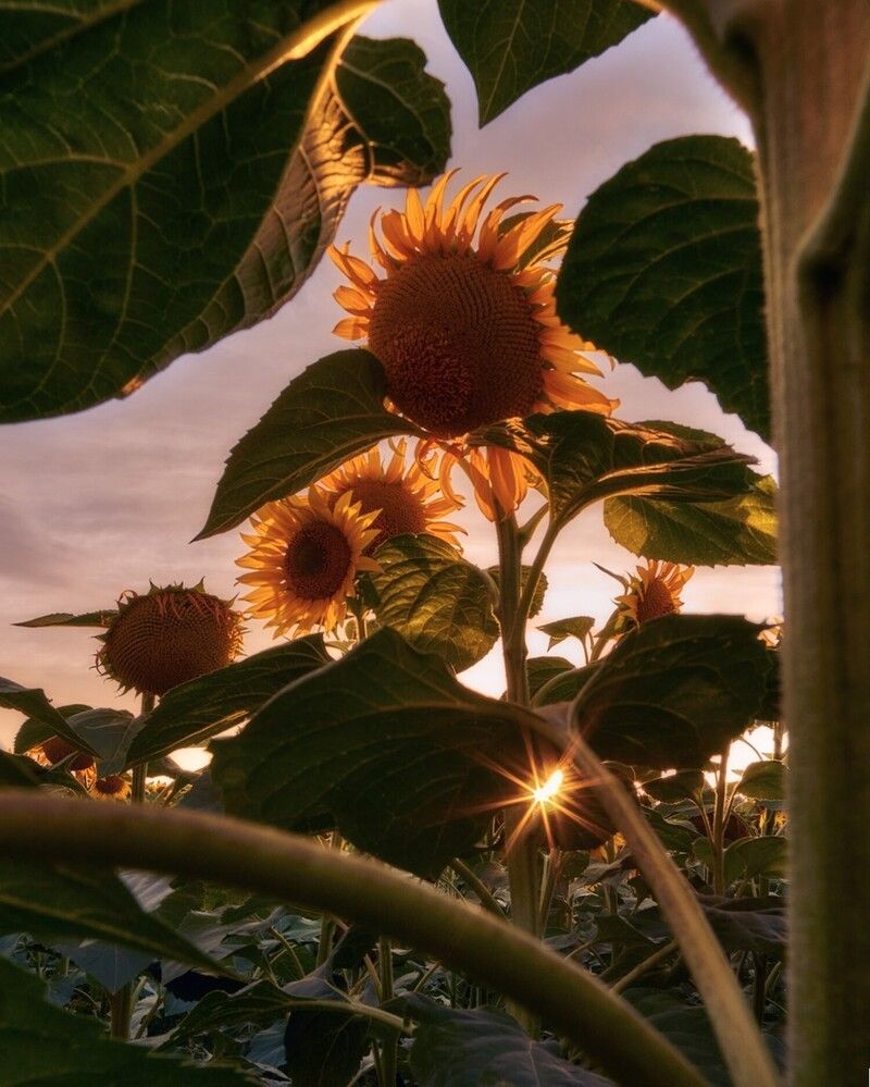 Photograph by Daniel Villalba Garcia