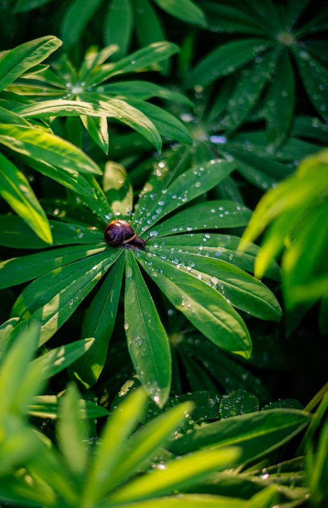 Photograph by Анастасия Зайцева