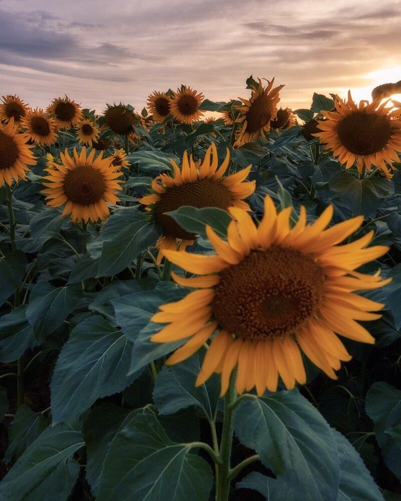 Photograph by Daniel Villalba Garcia