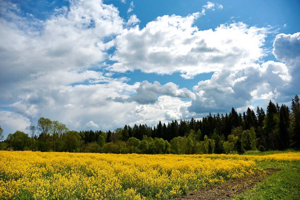 Photograph by Аверина Елена