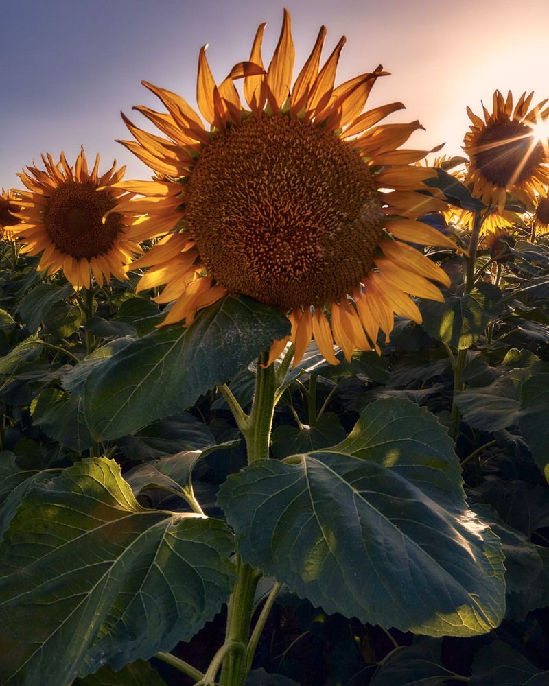 Photograph by Daniel Villalba Garcia