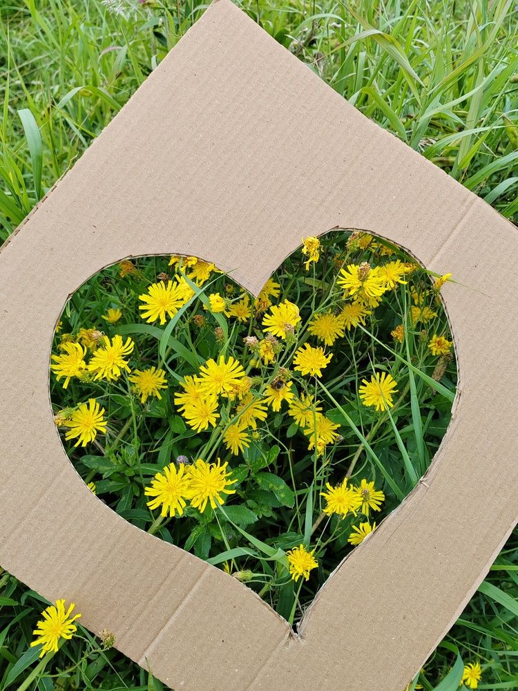 Фотография автора Татьяна Егорова