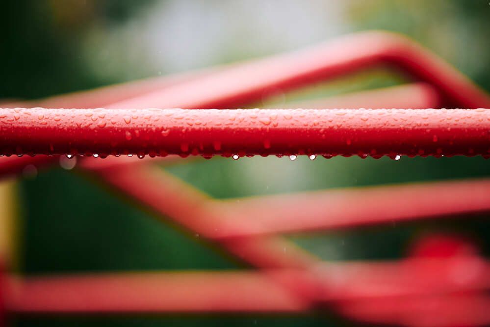 Photograph by Аверина Елена