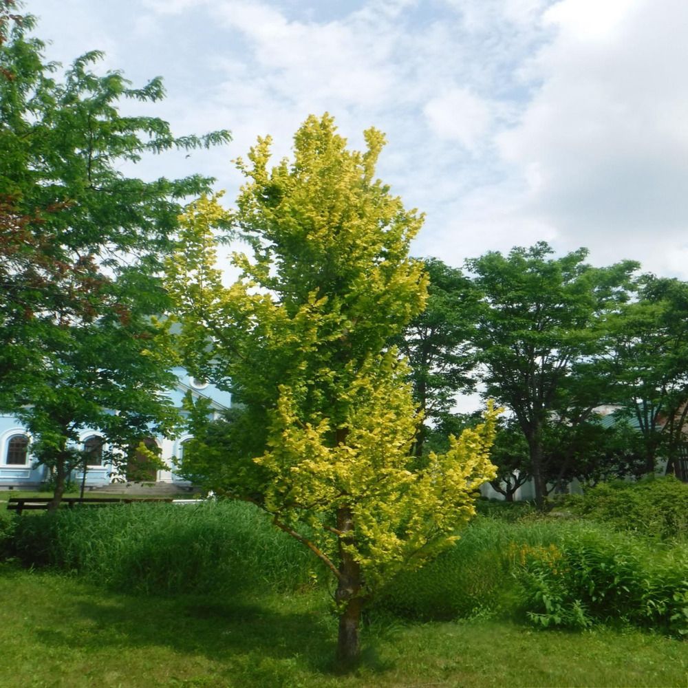 Photograph by Елена Сухорученкова