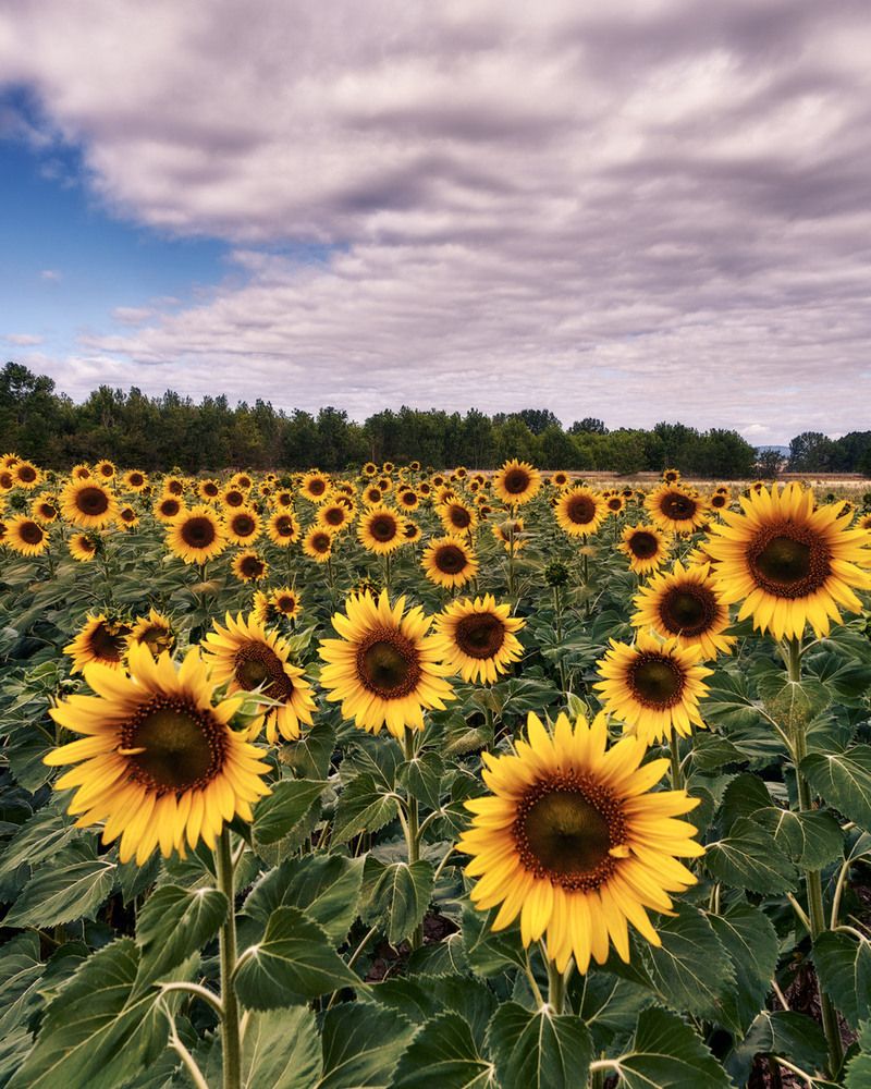 Photograph by Daniel Villalba Garcia