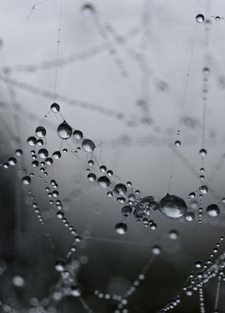 Фотография автора Maxim Bondar