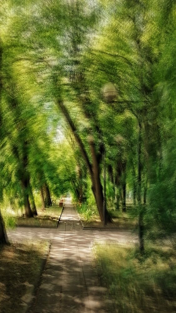 Фотография автора Татьяна Егорова