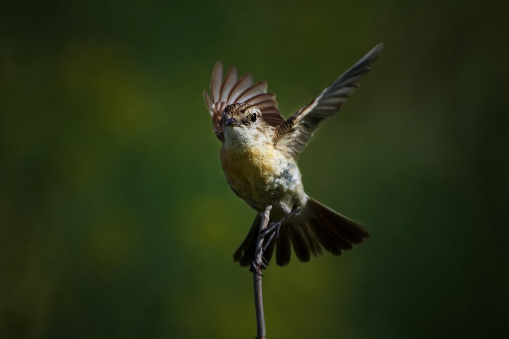 Photograph by Александр Перегудов