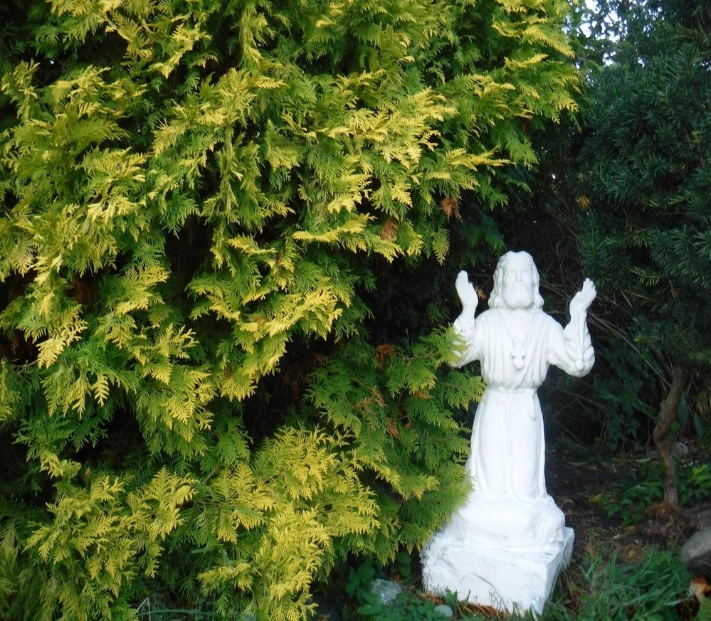 Photograph by Елена Сухорученкова