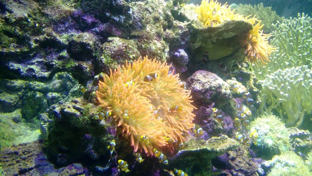 Photograph by Rosane Cortez