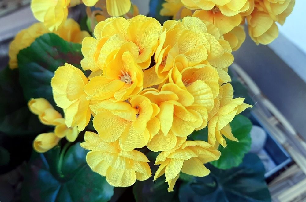 Photograph by Ирина Ильина