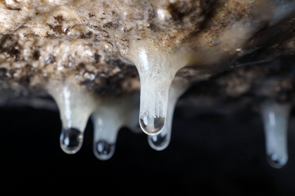 Photograph by Лена Максимкина