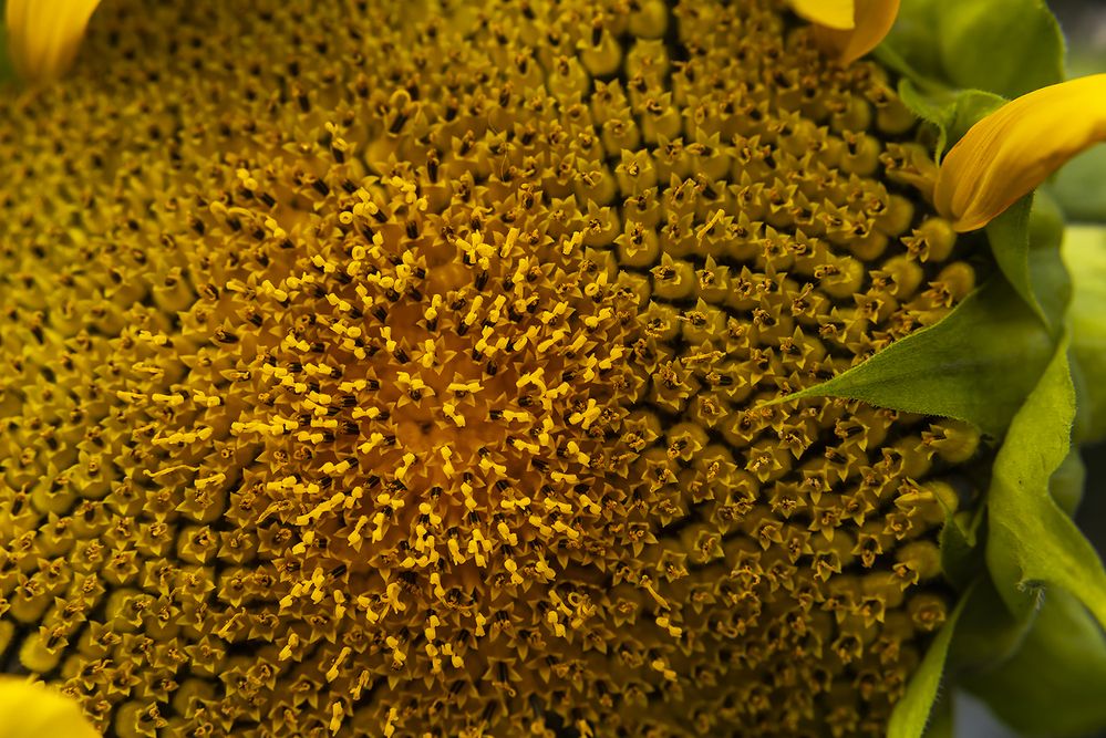 Photograph by Наталья Дроздова