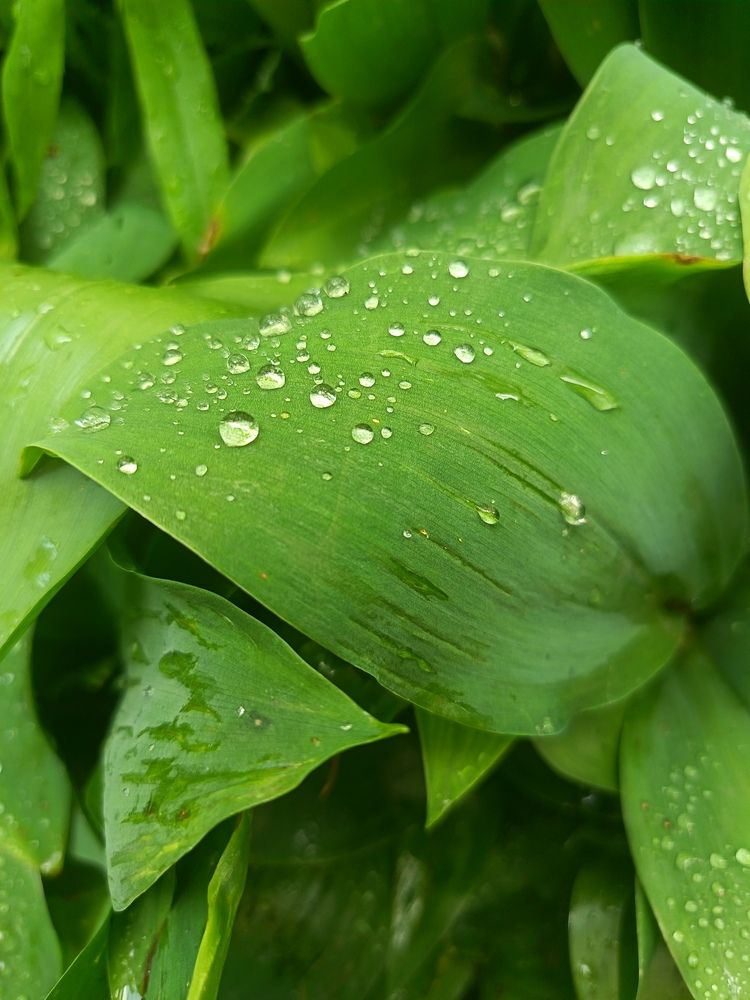 Photograph by Анна К