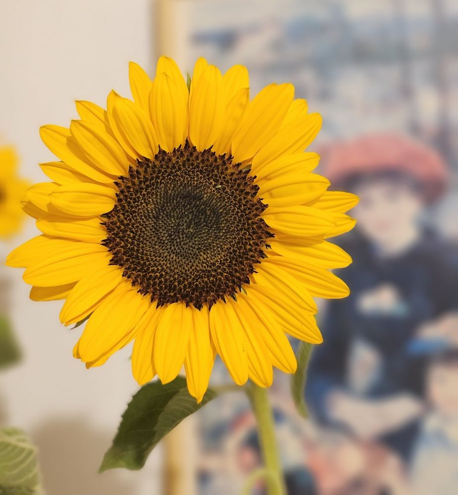 Фотография автора Oksana Podgorodetska